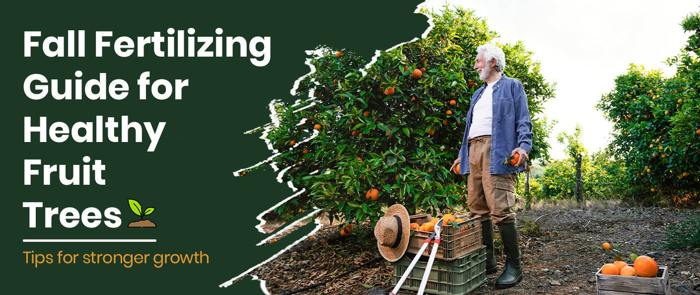 Should You Fertilize Fruit Trees in the Fall? An Expert Guide for USA Gardeners