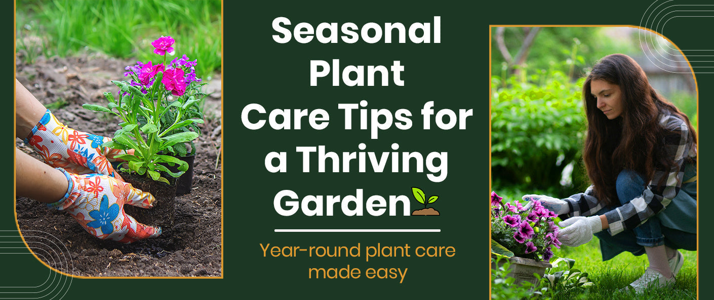 How Seasonal Changes Affect Plant Growth: Expert Tips for Home Gardeners in the USA