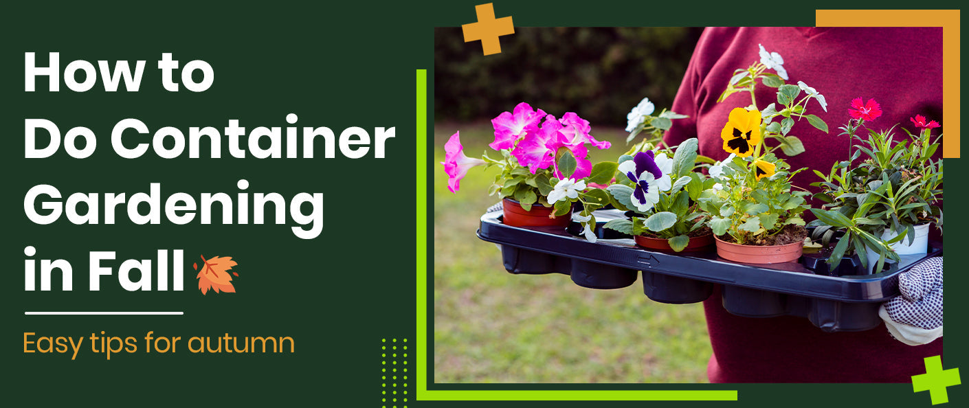 How to Do Container Gardening in Fall