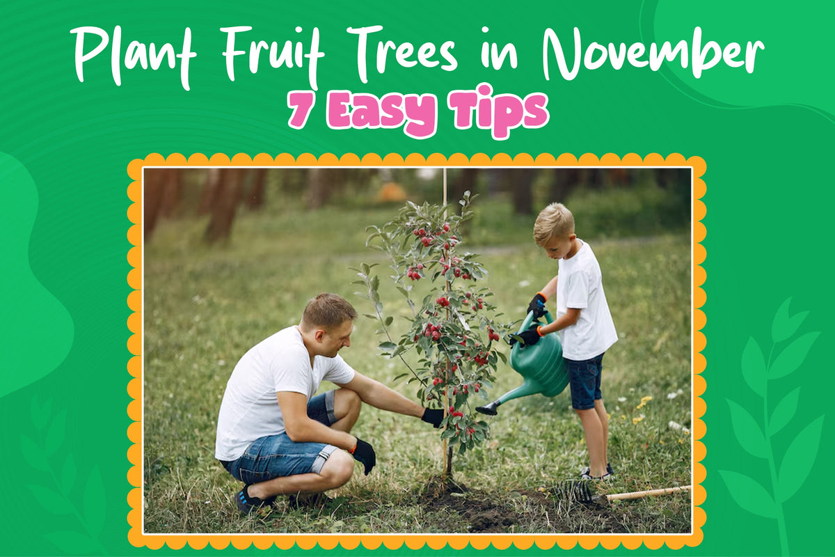 November fruit tree planting tips for healthy growth