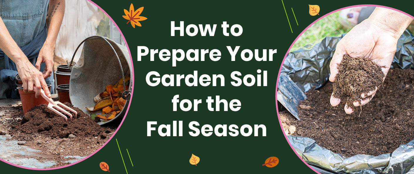 How to Prepare Your Garden Soil for the Fall Season