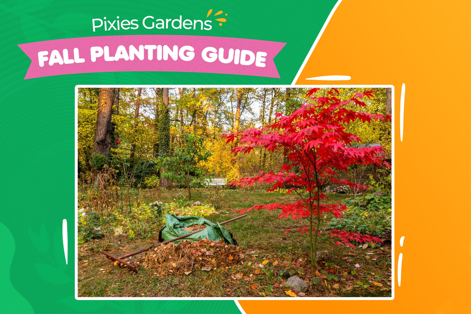 Test Pixies Gardens Fall Planting Nursery Guide!