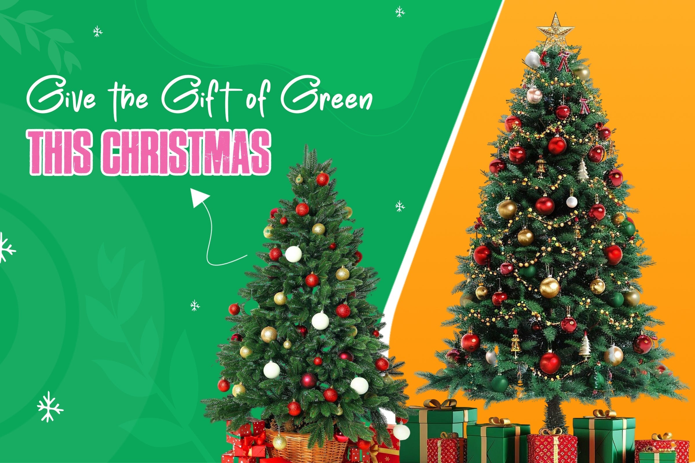 Top Live Christmas Tree Varieties to Buy Online in the USA