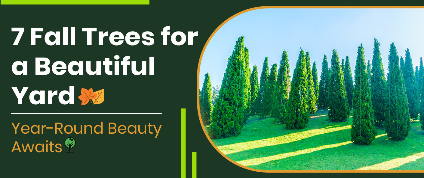 🌳 7 Trees to Plant This Fall for Year-Round Beauty in Your Yard
