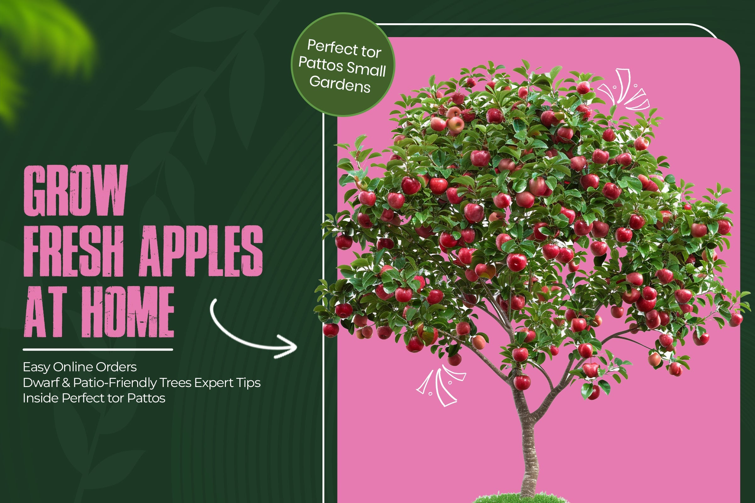 Best Apple Trees for Home Garden – Plant, Grow & Harvest Easily