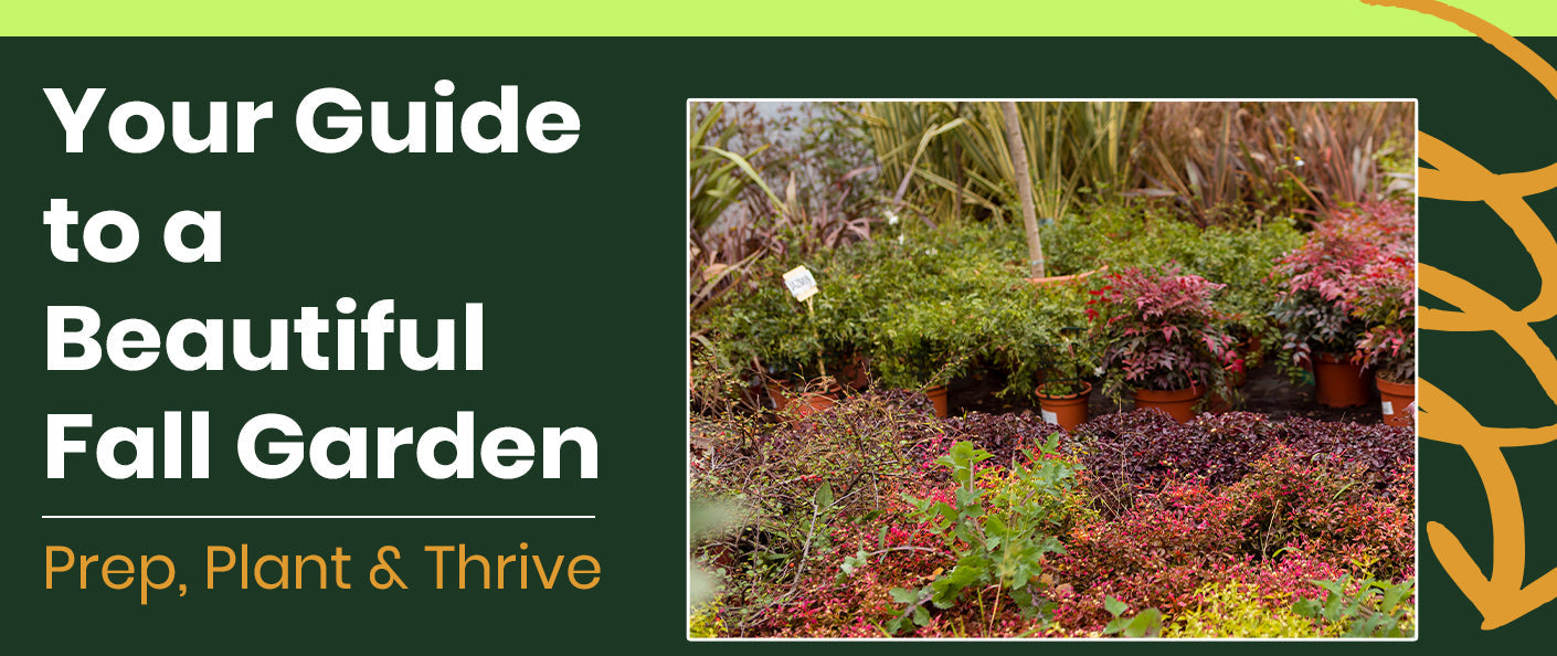 How to Start a Stunning Fall Garden: From Prep to Planting
