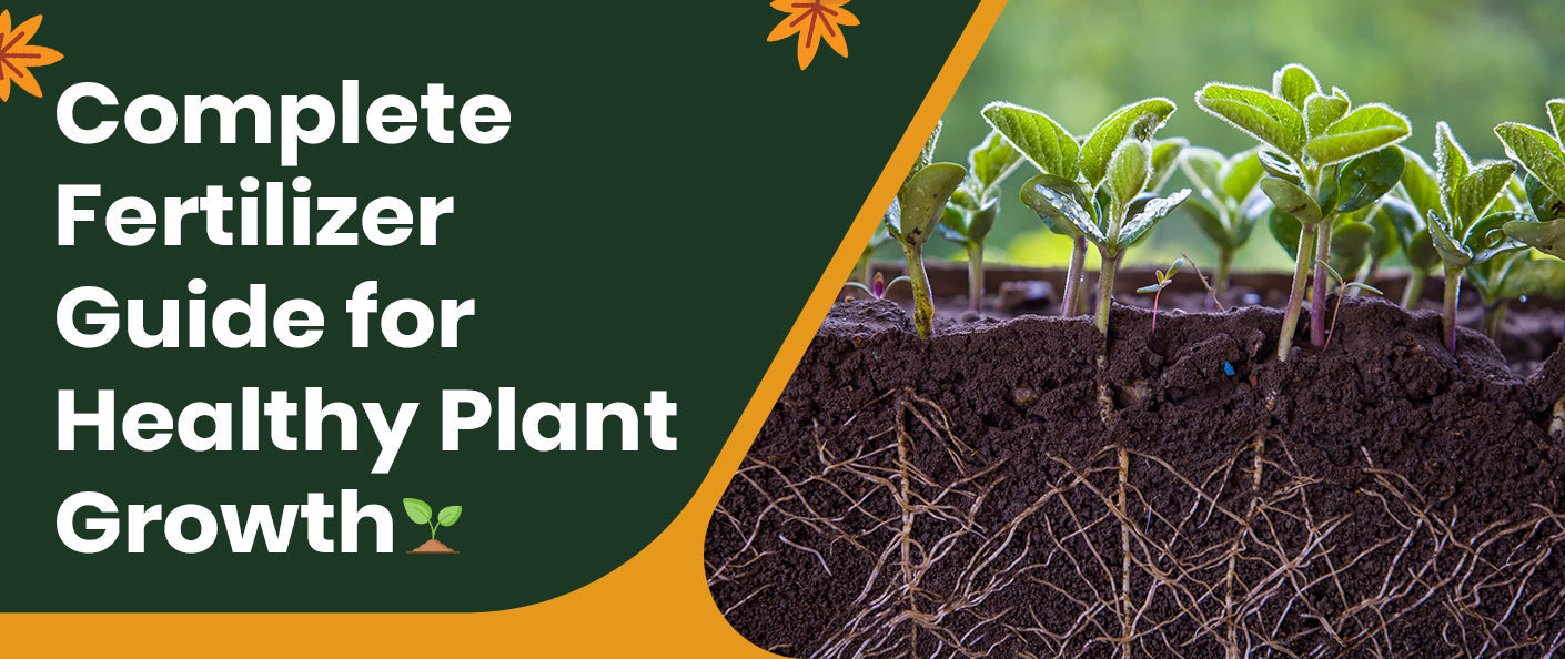 How to Fertilize Plants: Complete Fertilizer Guide for Healthy Growth