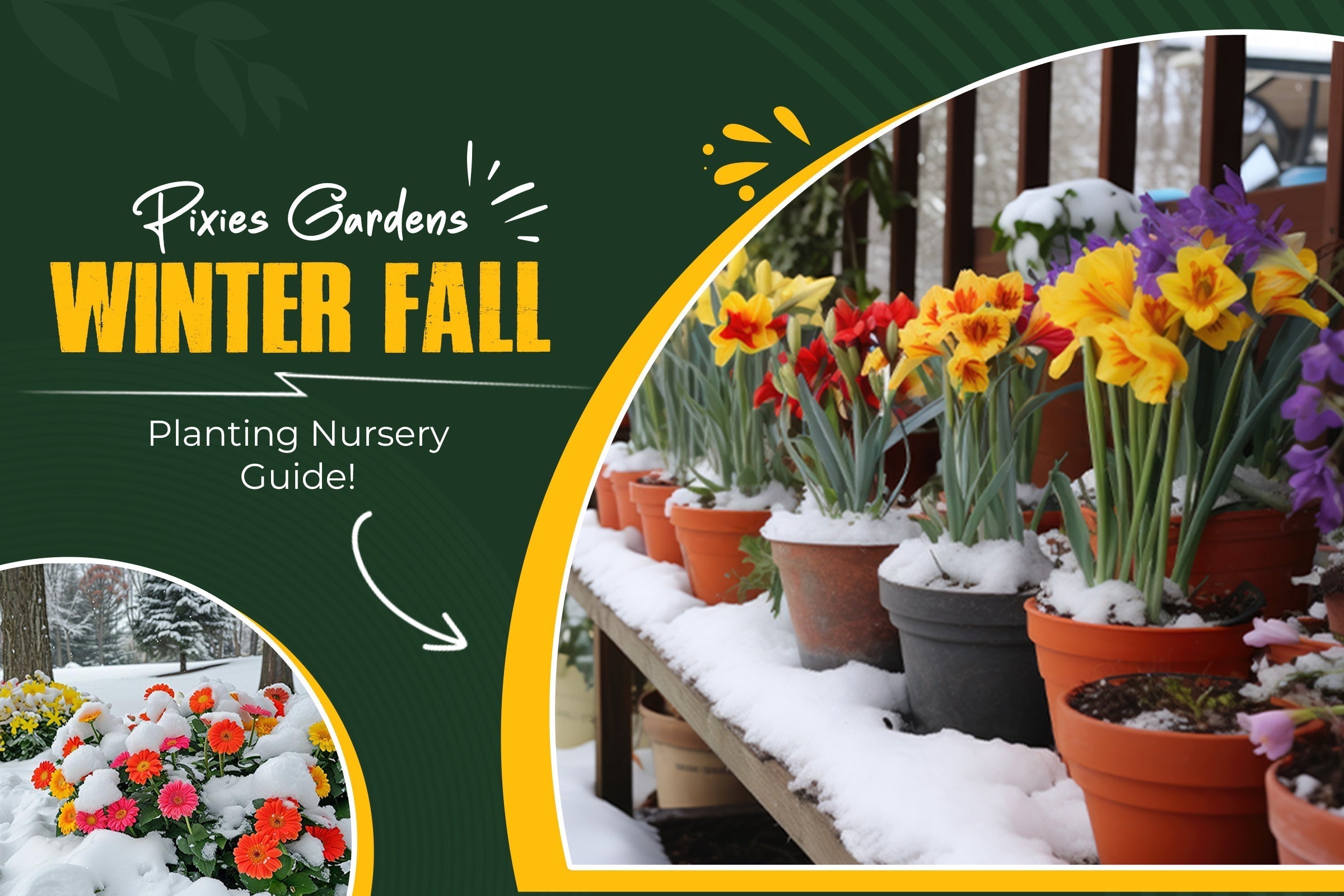 Pixies Gardens Winter/Fall Planting Nursery Guide!