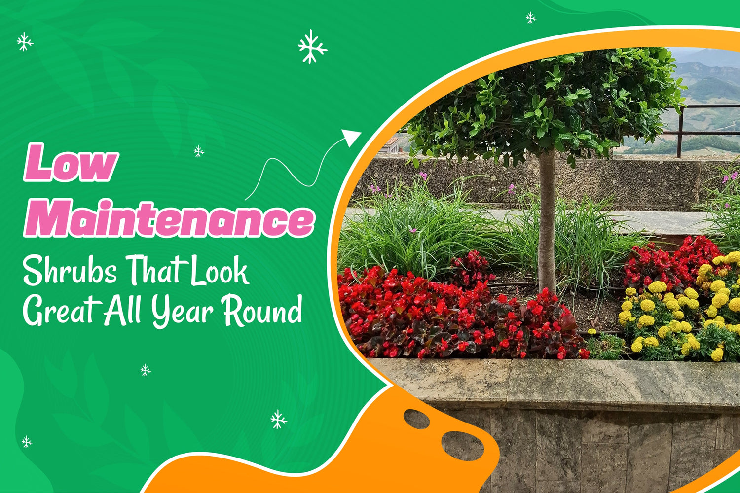 Low-Maintenance Shrubs That Look Great All Year Round