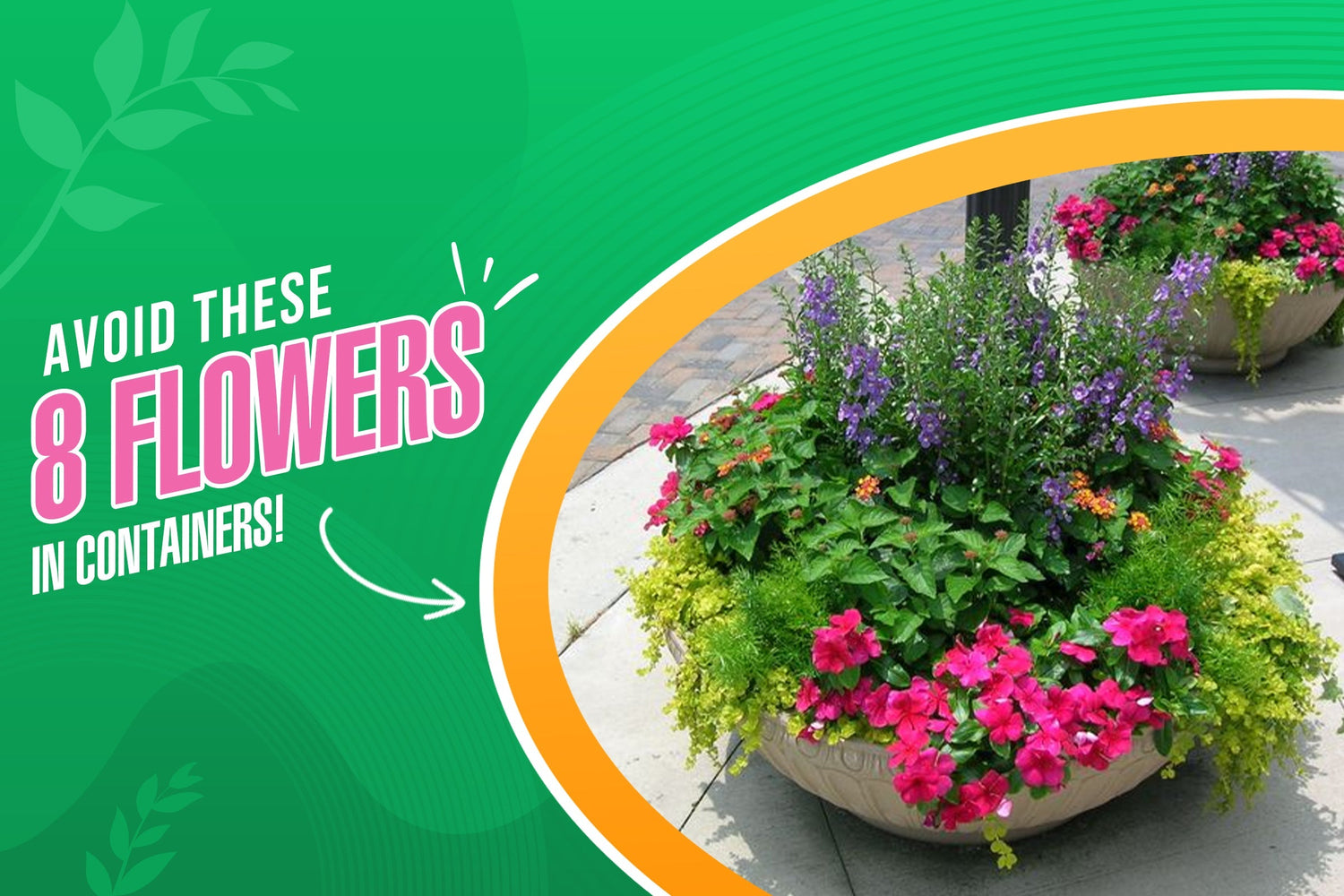 8 Flowers You Should Never Grow in Pots or Containers - According to Experts