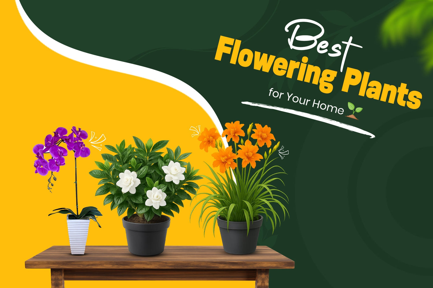 How to Choose the Best Flowering Plants for Your Home