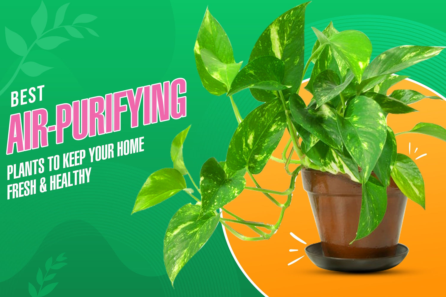 Best Air-Purifying Plants to Keep Your Home Fresh and Healthy