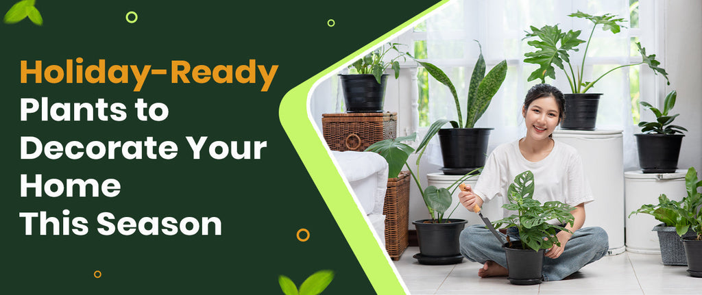 Holiday-Ready Plants to Decorate Your Home This Season