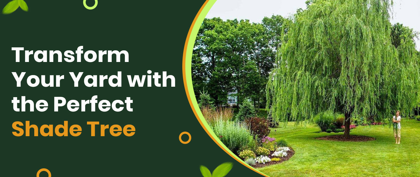 How to Choose the Perfect Shade Tree for Your Backyard