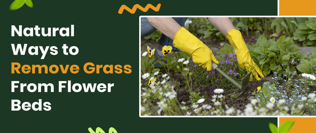Natural Ways to Remove Grass From Flower Beds - Without Damaging Your Plants