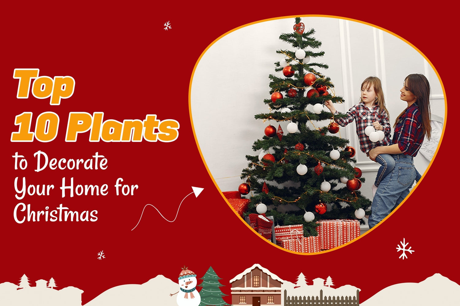 Top 10 Plants to Decorate Your Home for Christmas