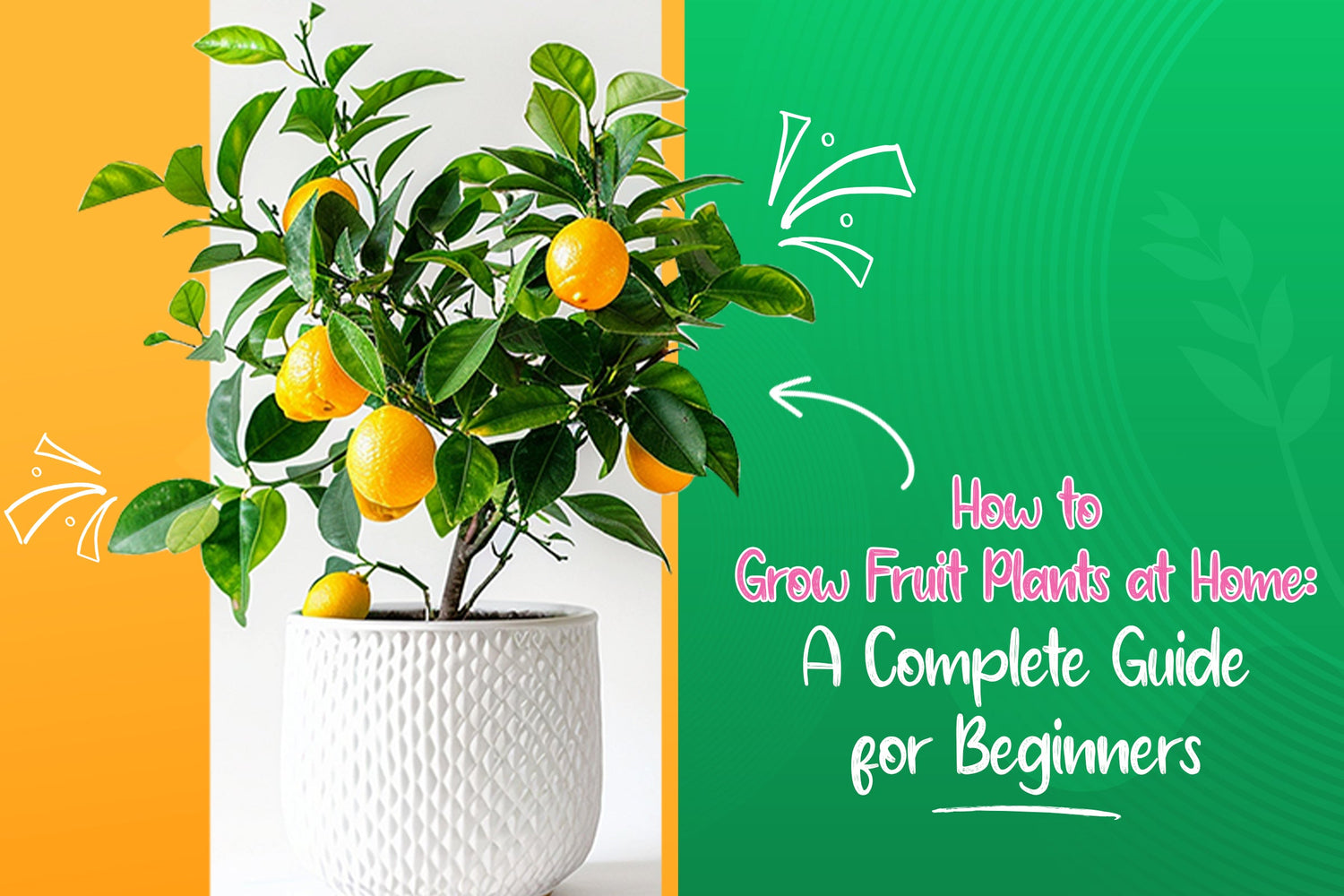 How to Grow Fruit Plants at Home: A Complete Guide for Beginners
