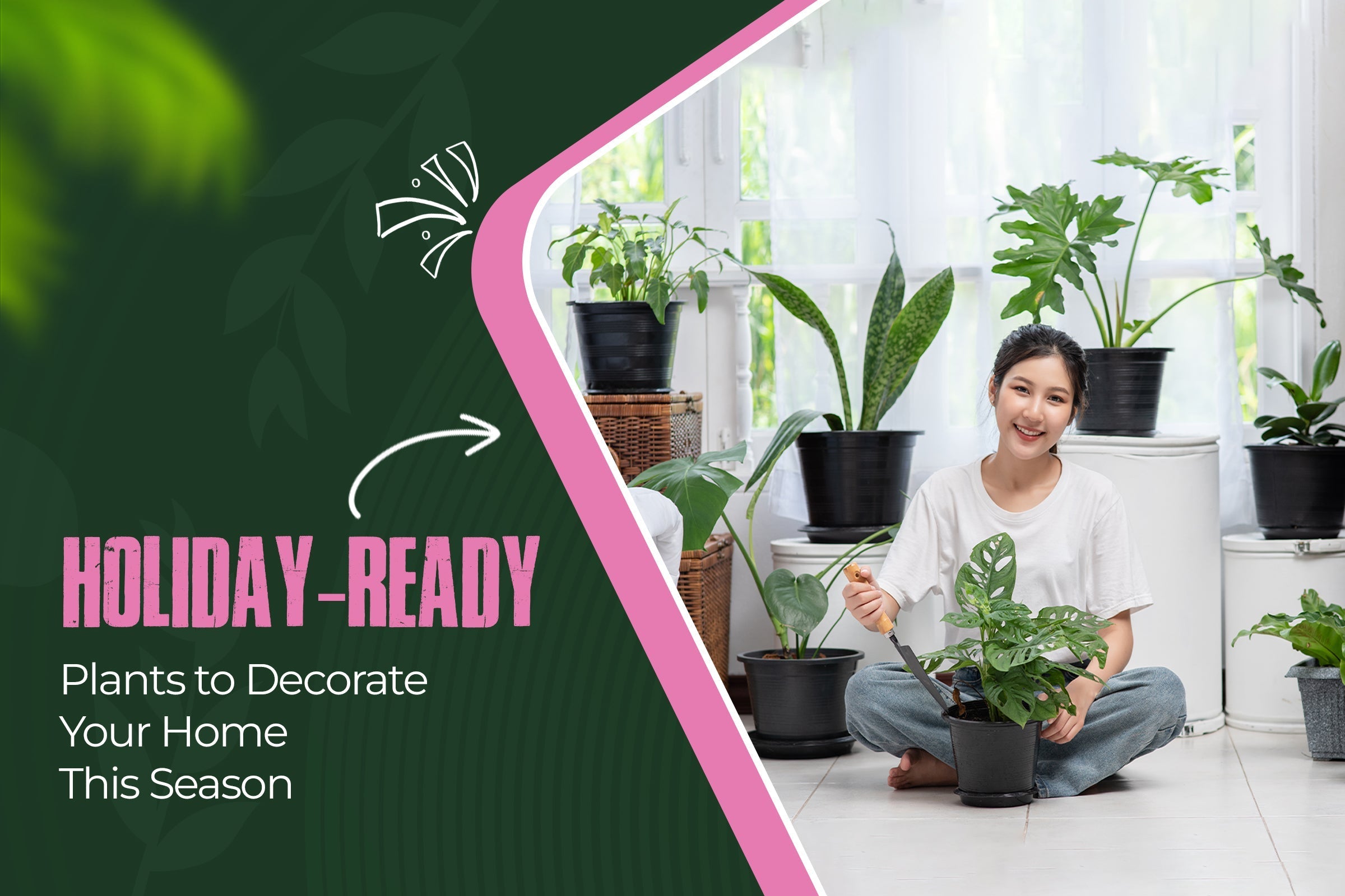 Holiday-Ready Plants to Decorate Your Home This Season