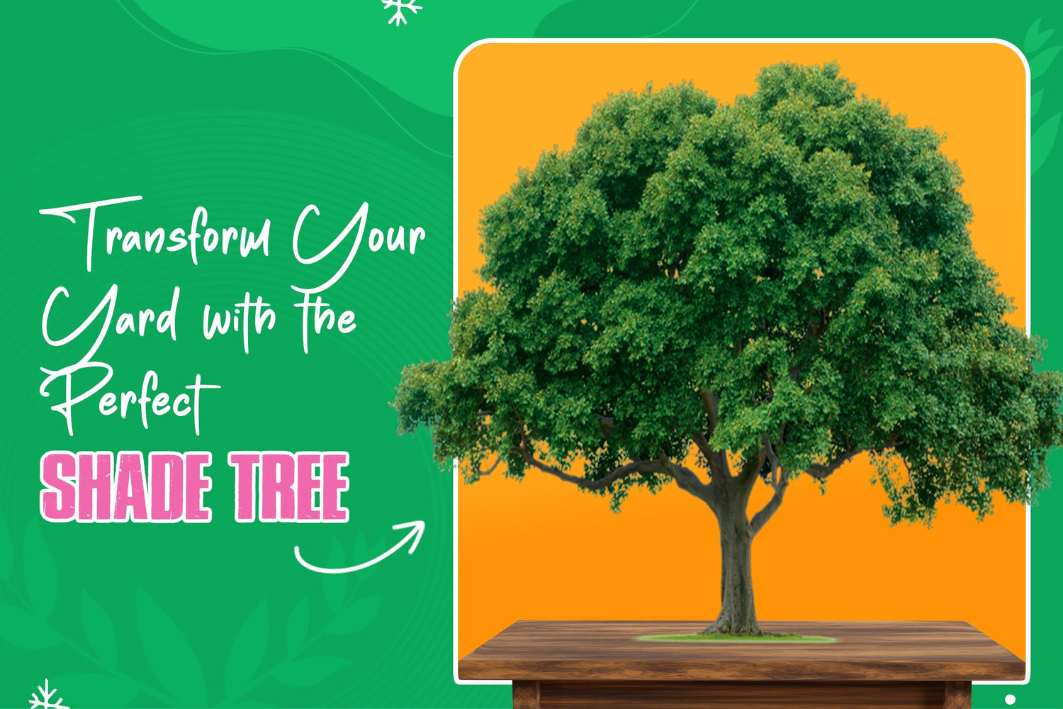 How to Choose the Perfect Shade Tree for Your Backyard