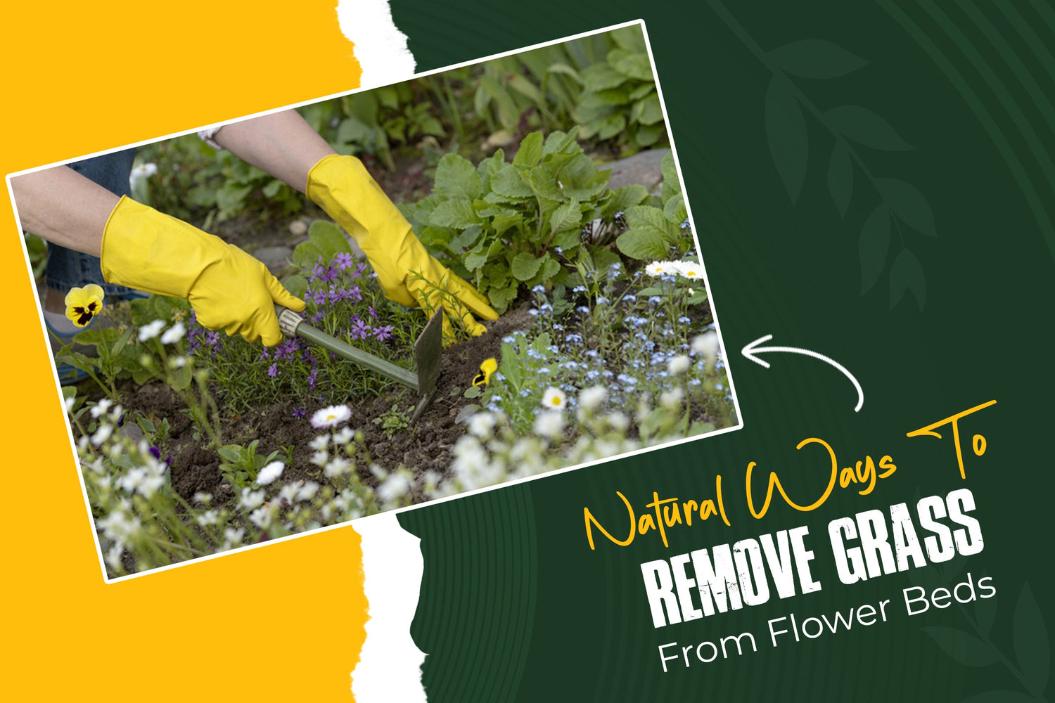 Natural Ways to Remove Grass From Flower Beds - Without Damaging Your Plants