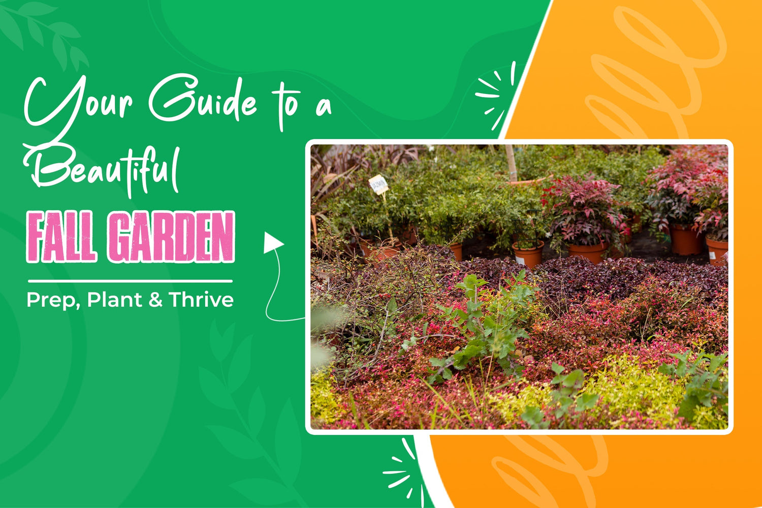How to Start a Stunning Fall Garden: From Prep to Planting
