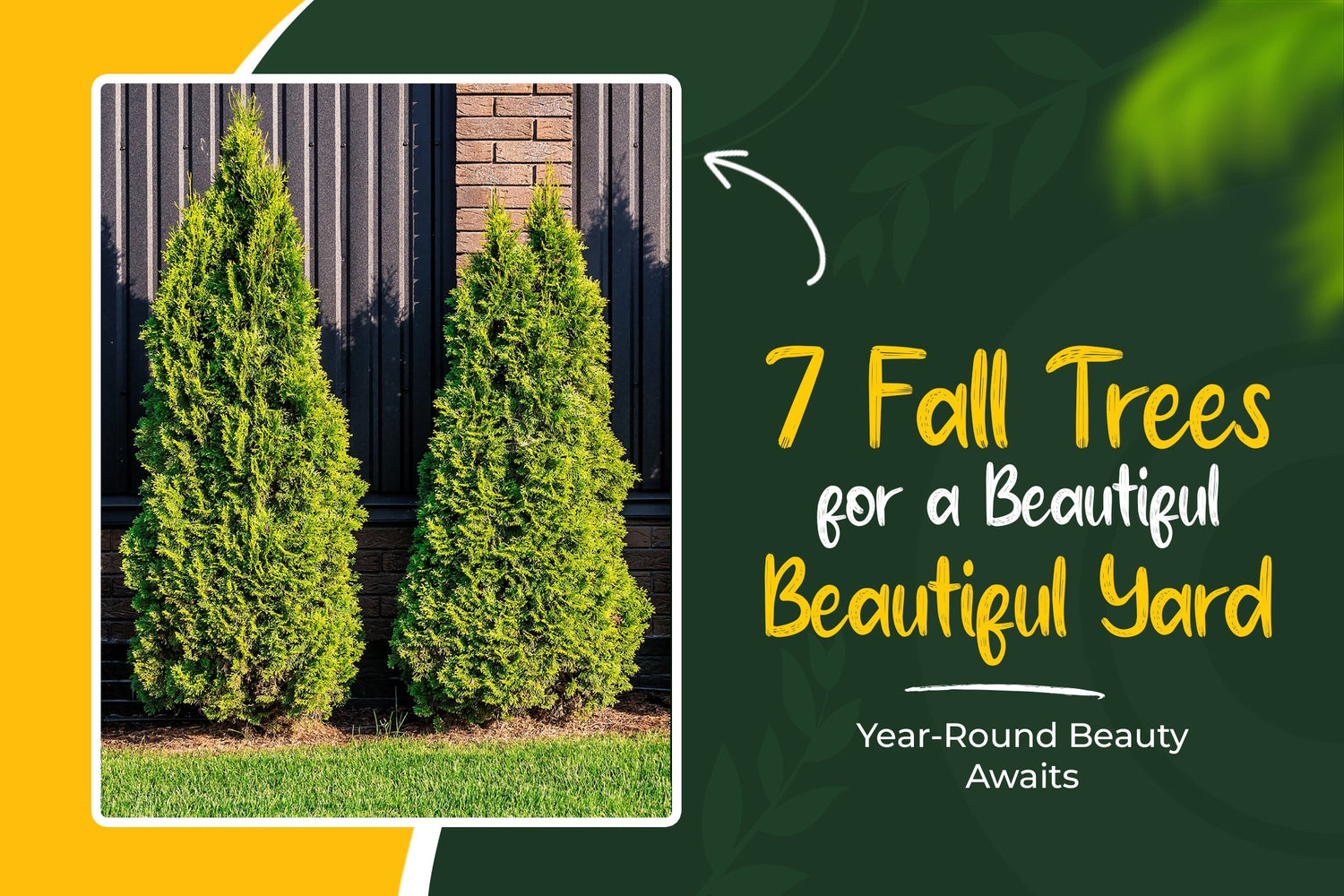 7 Trees to Plant This Fall for Year-Round Beauty in Your Yard
