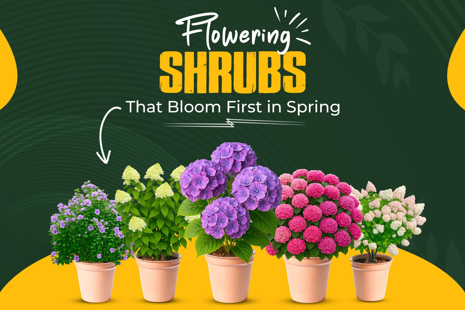 Best Flowering Shrubs to Plant Now for Early Spring Blooms