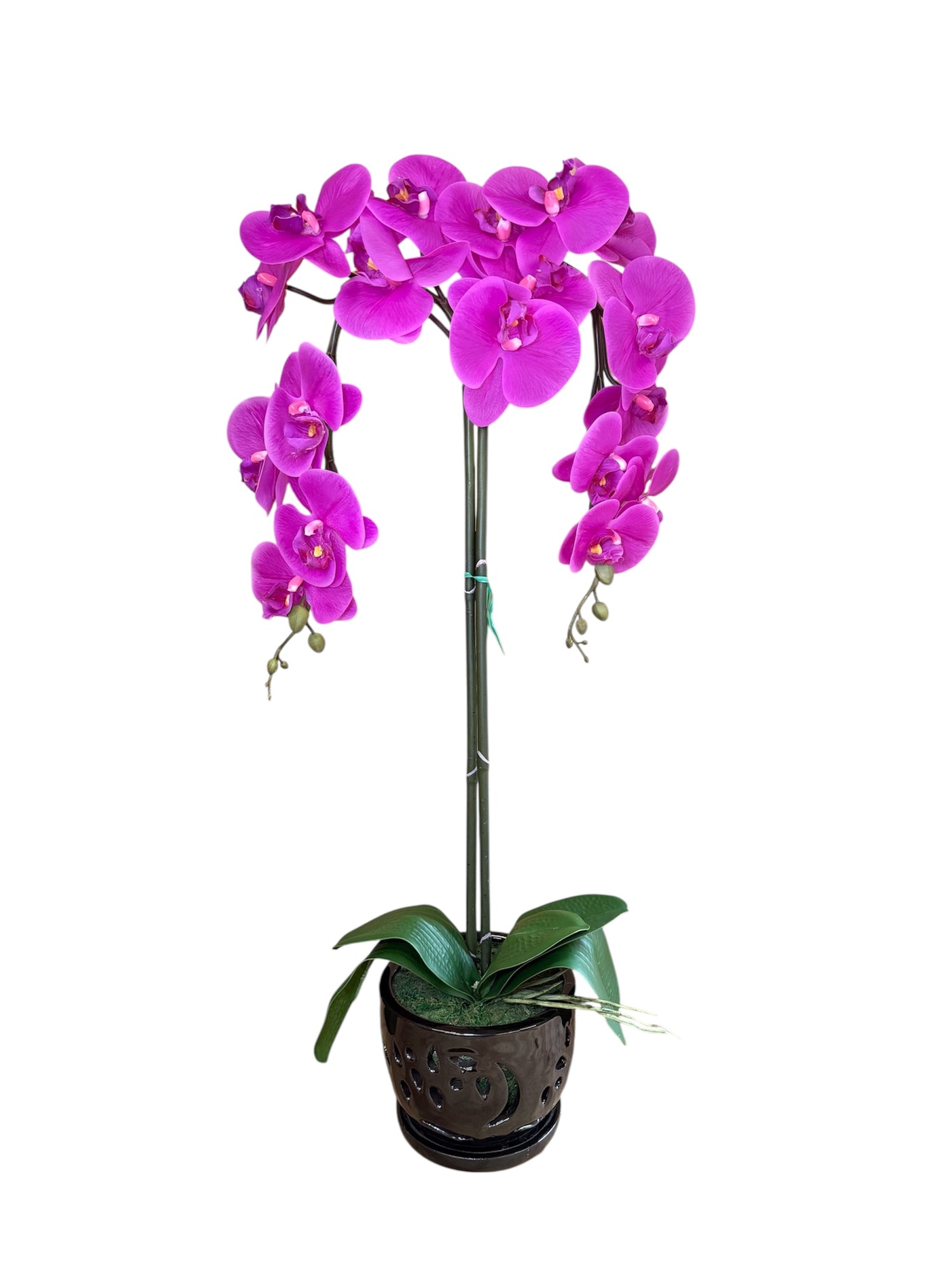 Elegant Purple Orchid in Black Ceramic Pot