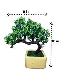 Artificial Green Bonsai Plant in Decorative Ceramic Pot