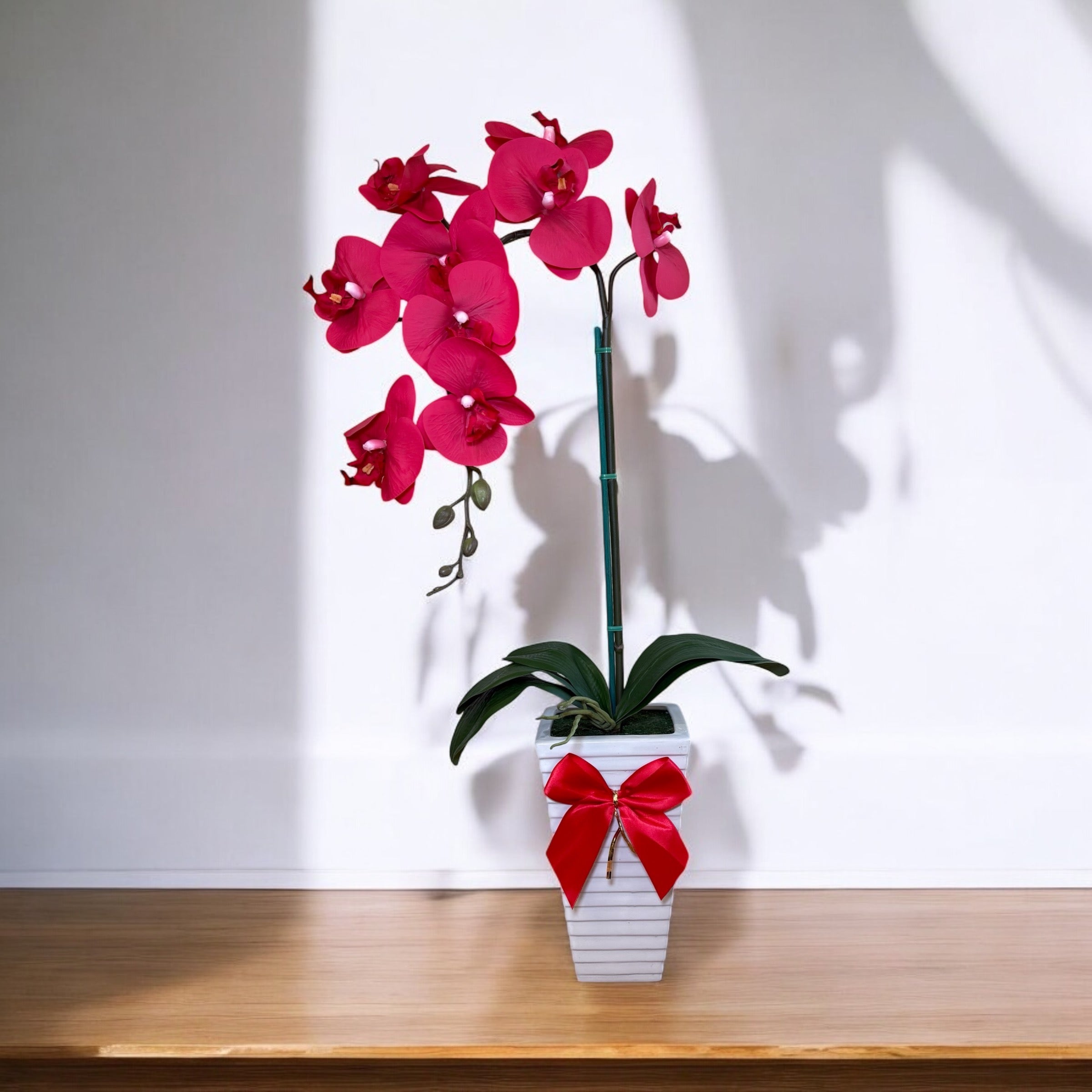 Stunning Orchid in Tall Ceramic Pot-Good Gift