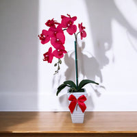 Artificial Stunning Orchid in Tall Ceramic Pot-Good Gift