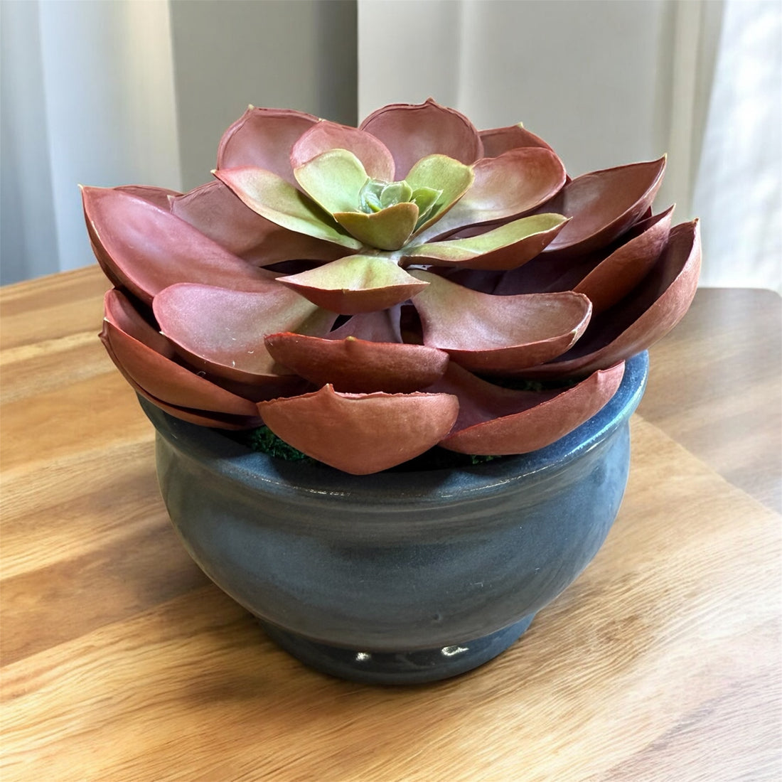 Artificial Echeveria Succulent in Gray Ceramic Pot – Perfect Gift for Home or Office Decor