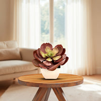 Artificial Stunning Crassulla Red Succulent -Good Gift