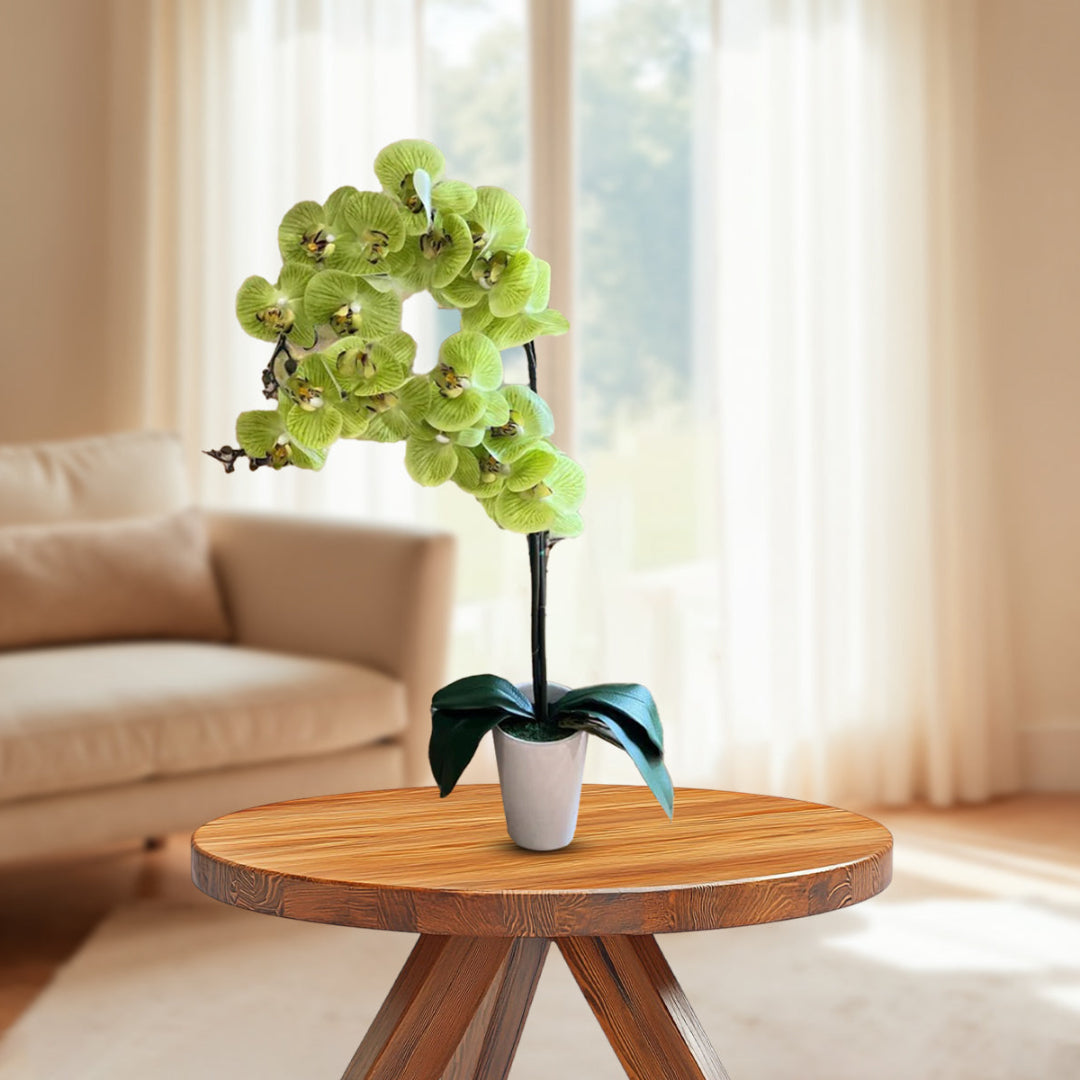 Stunning Orchids-Artificial-Good Gift