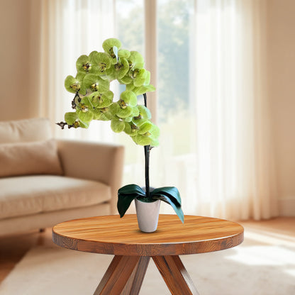 Stunning Orchids-Artificial-Good Gift