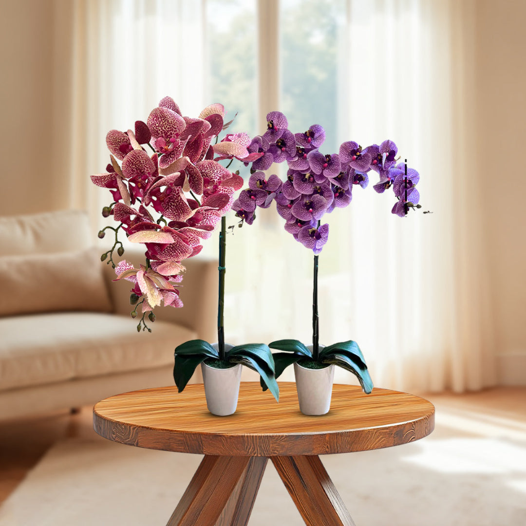 Gorgeous Variegated Orchids with 9 Flowers (Artificial) (The Perfect Christmas Gift)
