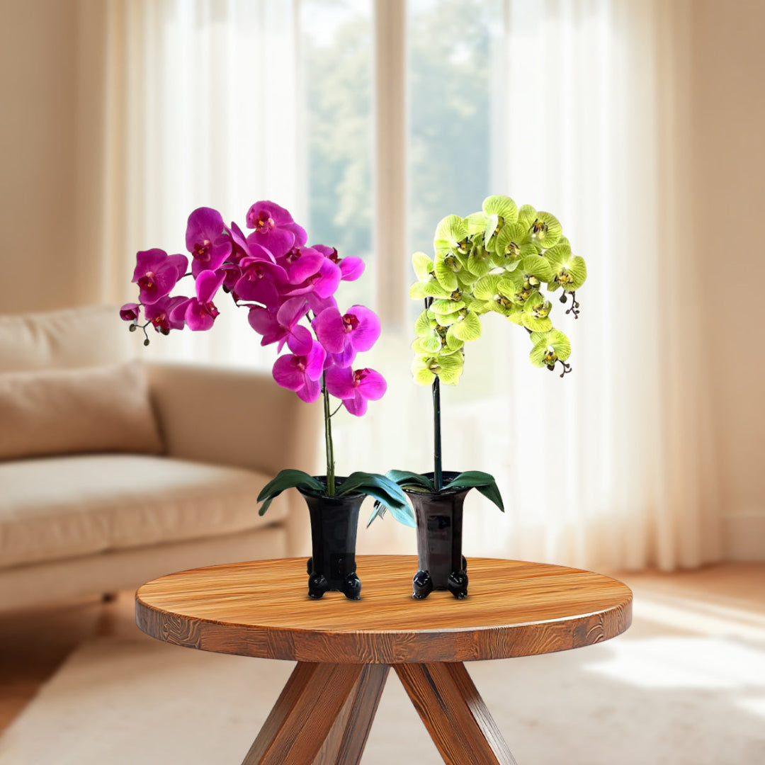 Stunning Orchids in Black Ceramic Legged Pot-Artificial (Perfect Gift)
