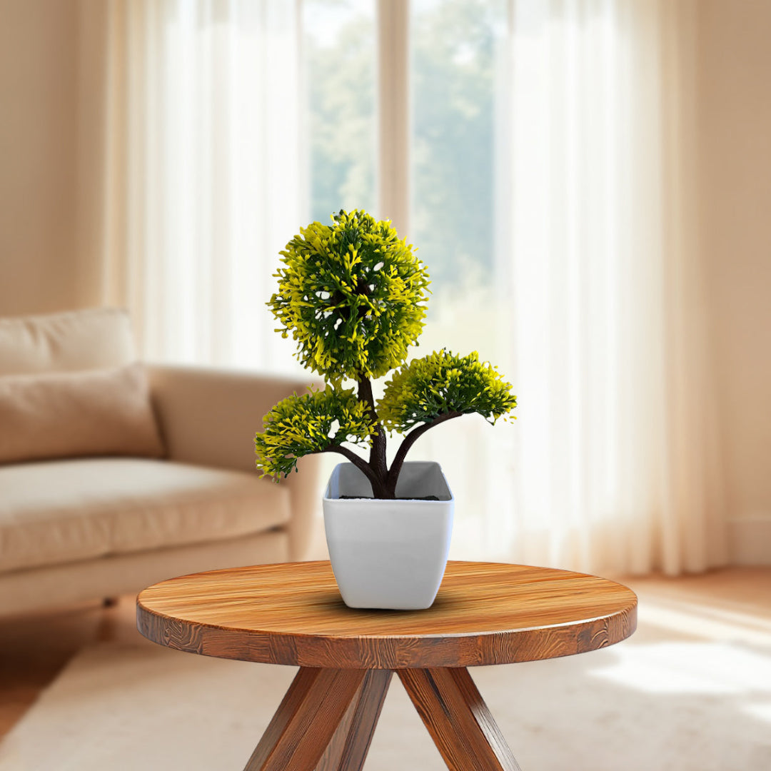 Gorgeous Bonsai in various colors ~ The Perfect Gift