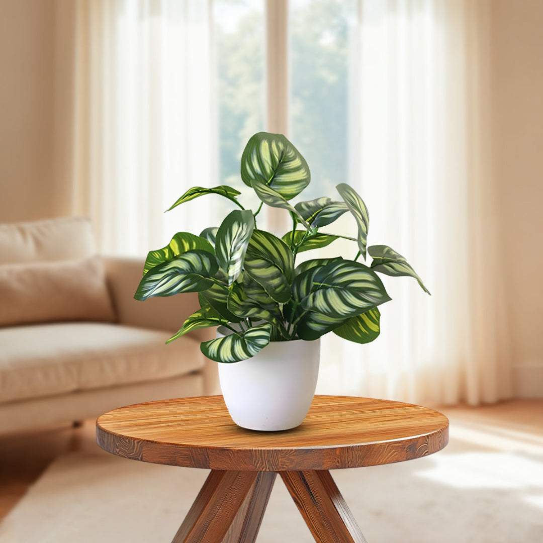 Stunning Peacock Plant in pot of your choice-Artificial-Good Gift