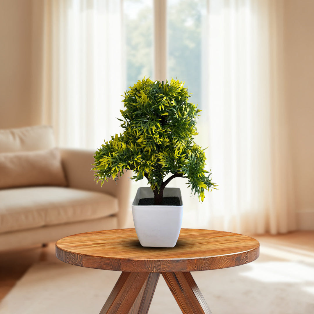 Gorgeous Bonsai with Very Attractive Pot - Green Color (Artificial)  Good Gift