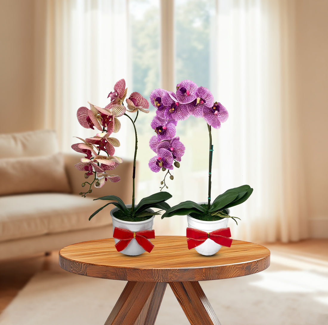 Beautiful Variegated Orchid-Artificial (The Perfect Christmas Gift)