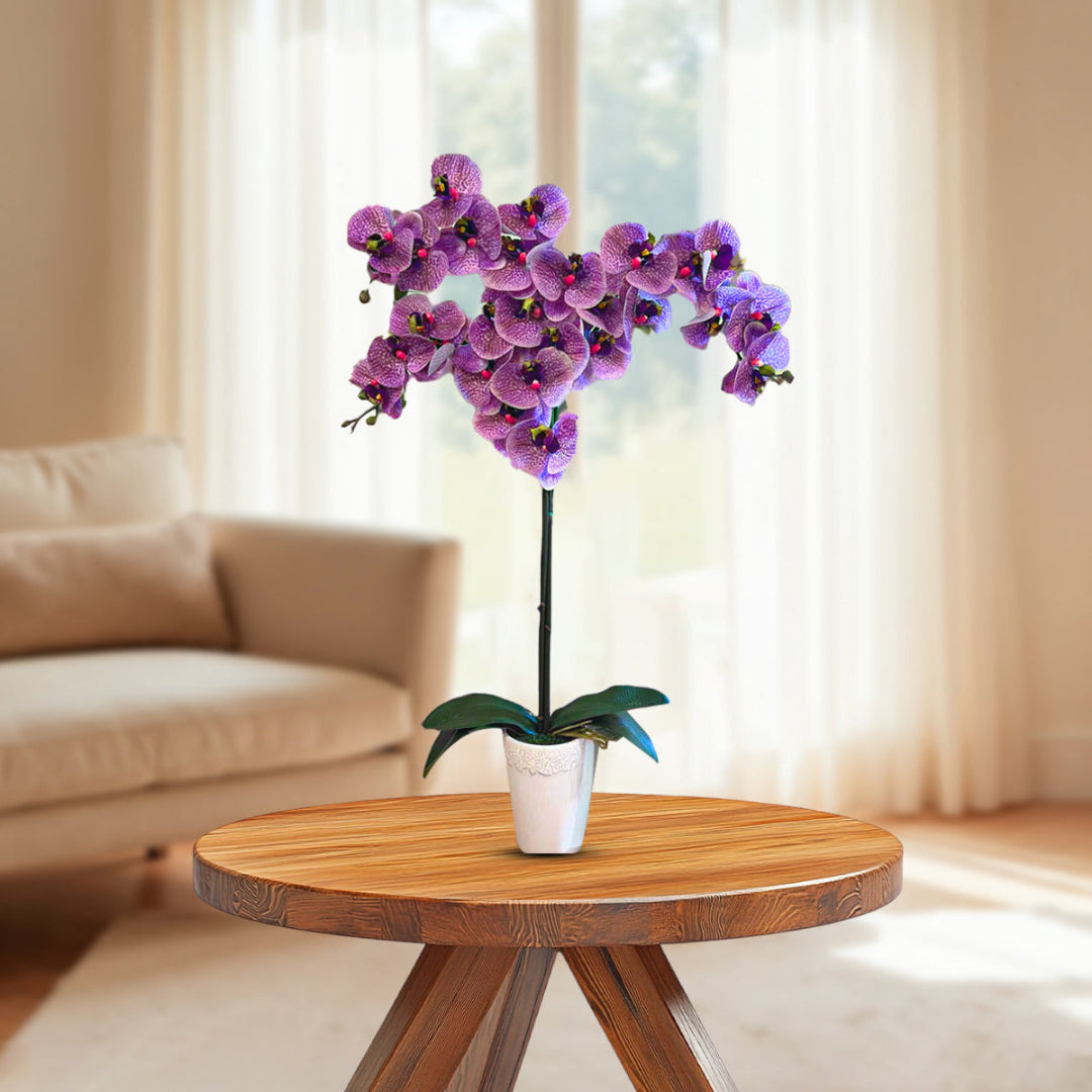 Gorgeous Real-Touch Phalaenopsis Orchid-Artificial (Good Gift)