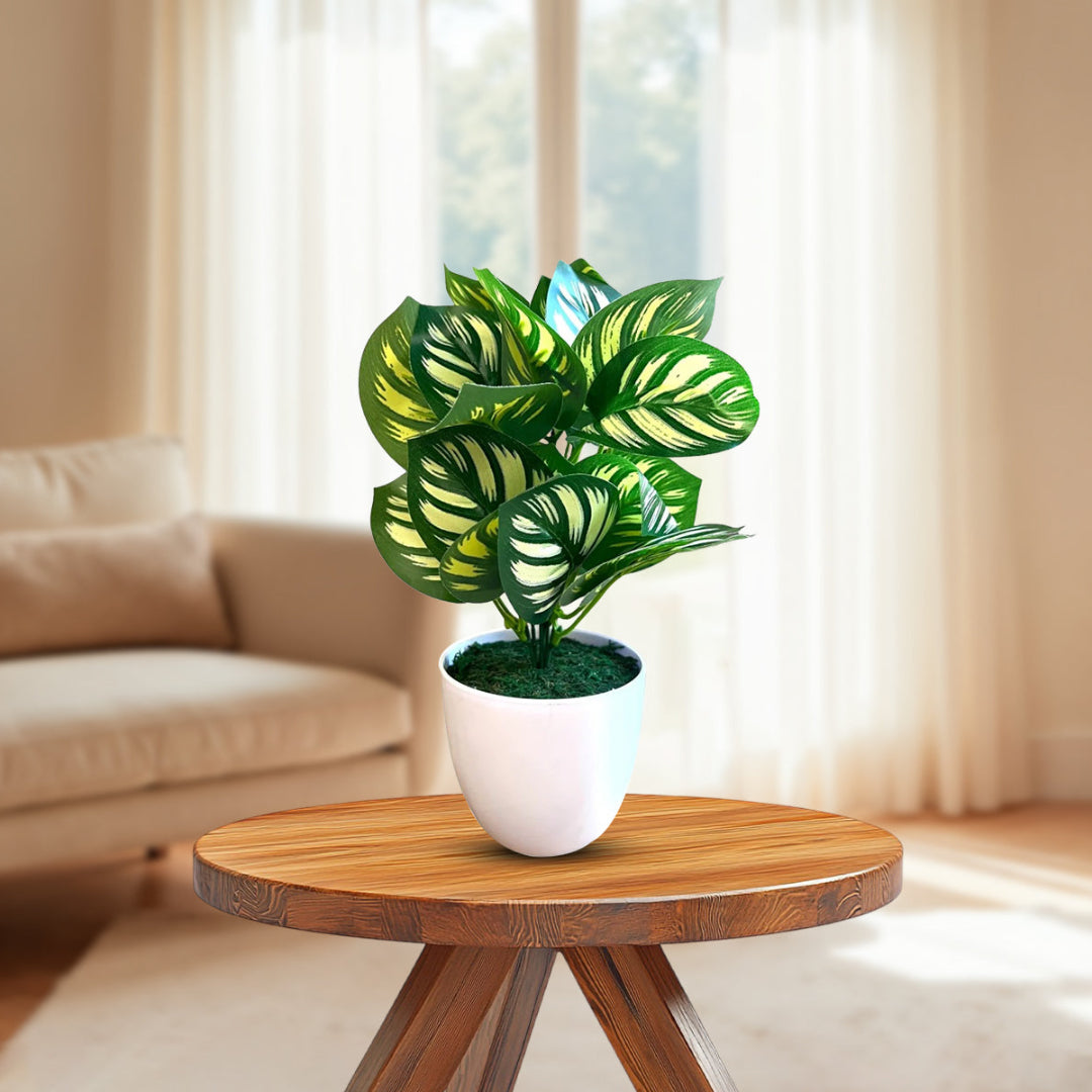 Artificial Plant : 11 Inches Green Potted Succulent-Good Gift