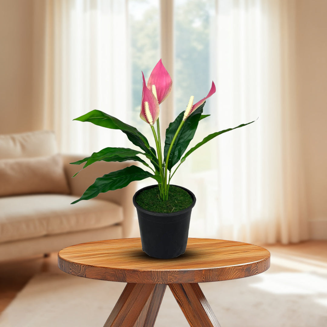 anthurium pink peace lily Gorgeous Potted Pink Peace Lily-Artificial