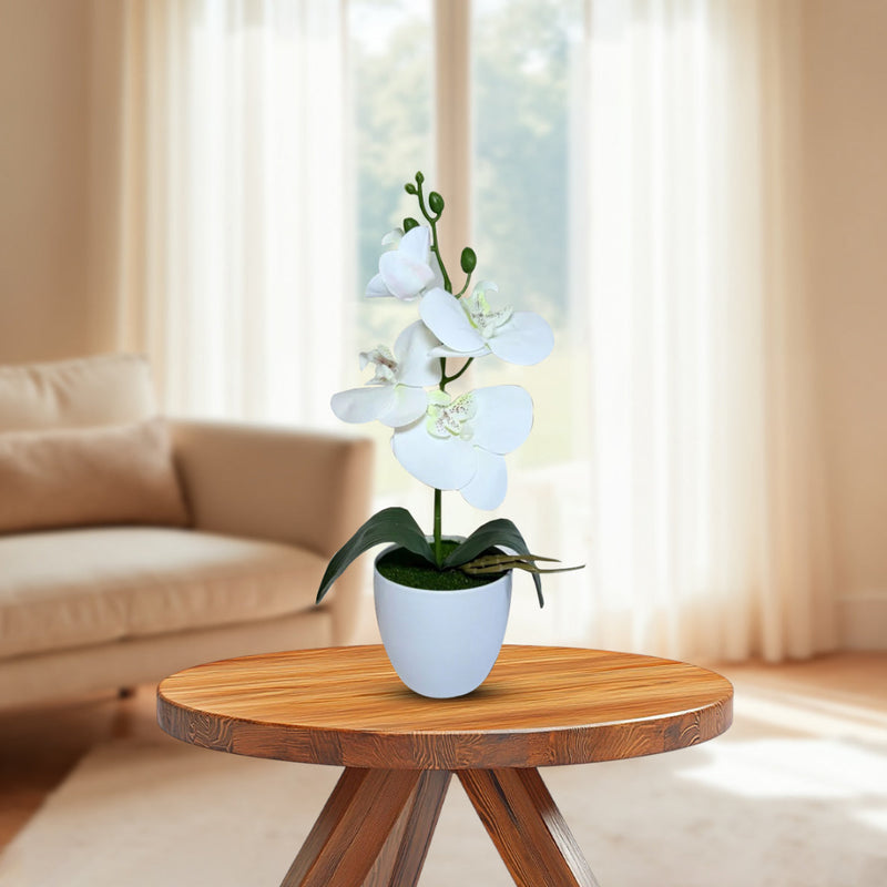 Gorgeous White Mini Orchid In Different Type of Pot - Artificial Plastic Pot