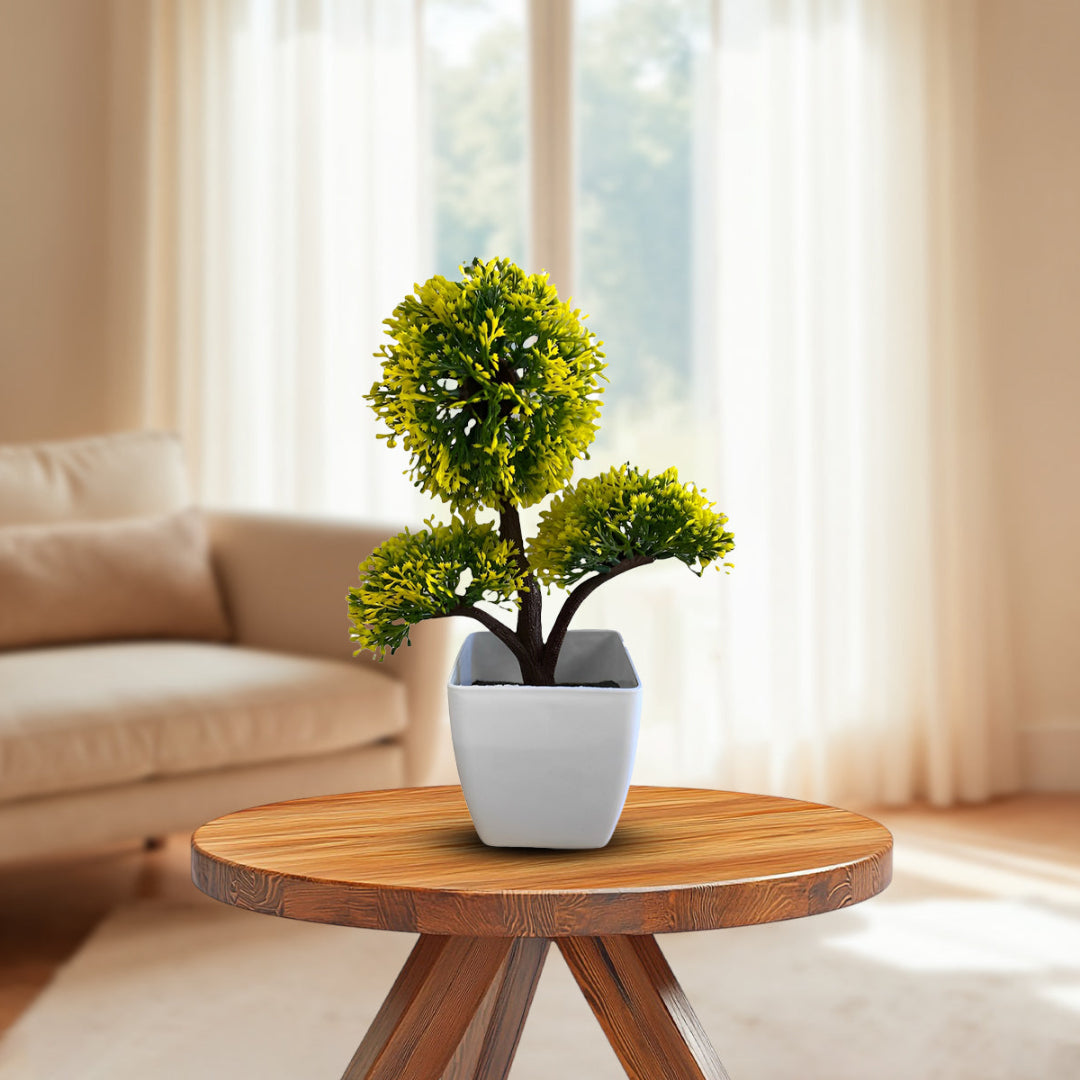 Green and Yellow Bonsai -Good Gift