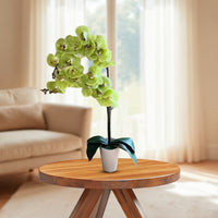 Artificial Stunning Orchids - Perfect Gift