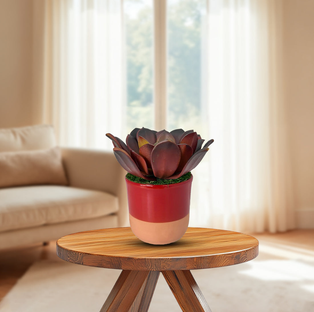 Cute Echeveria Red Succulent in Ceramic Pot - Artificial ~ The Perfect Christmas Gift