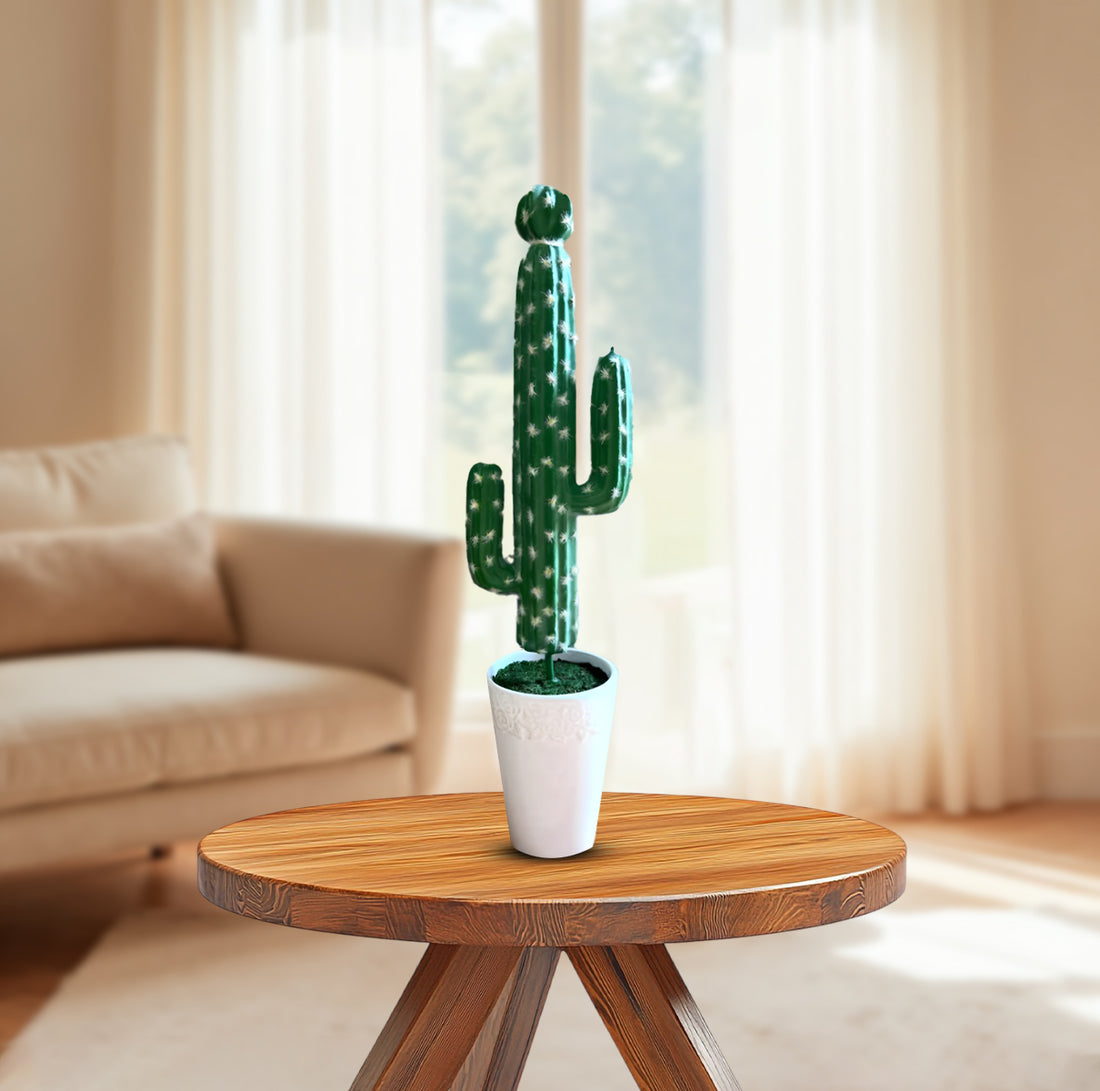 Gorgeous Tall Green Cactus in Ceramic Pot -Good Gift