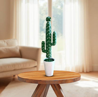 Gorgeous Tall Green Cactus in Ceramic Pot -Good Gift